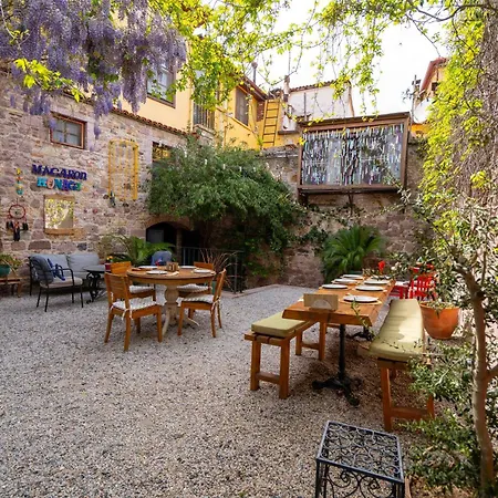 Macaron Konagi Ayvalı