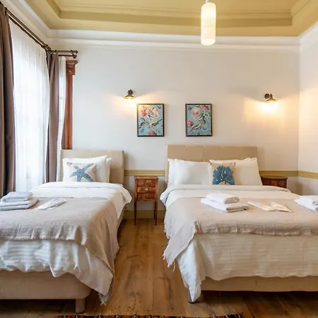 Macaron Konagi Ayvalı