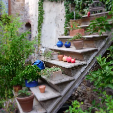 Guest house Macaron Konagi
