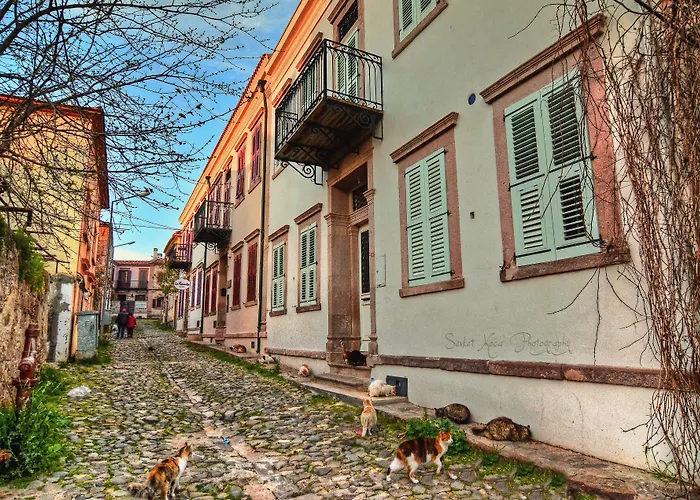 Macaron Konagi Guest house 4*